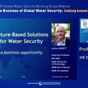 Arthur Mynett - Nature-Based Solutions for Water Security - A Business Opportunity