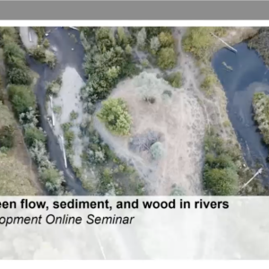 Isabella Schalko - Interaction between flow, sediment, and wood in rivers