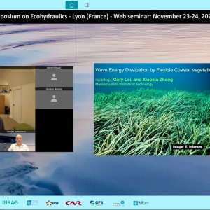 Heidi Nepf - Wave Energy Dissipation by Flexible Coastal Vegetation