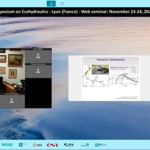 Aaron Packman - Microbial transport dynamics in rivers: Implications for waterborne disease transmission and COVID-19 surveillance