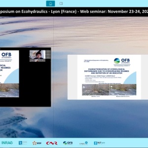 Dominique Courret - Characterization of hydrological disturbance due to hydropeaking regimes and definition of an indicator