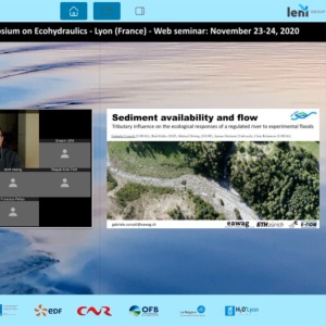 Gabriele Consoli - Sediment availability and flow: tributary influence on the ecological responses of a river to an experimental flood