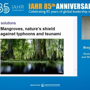 Bregje Van Wesenbeeck - Implementation of nature-based solutions: from science to practice