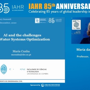 Maria da Conceição Cunha - AI and the challenges of Water Systems Optimization