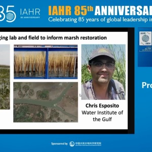 Heidi M. Nepf - Bridging lab and field to inform marsh restoration