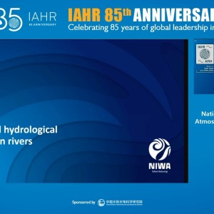 Eleanor Gee - Hydraulic and hydrological connectivity in rivers