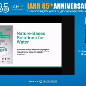 Olcay Unver - Nature-based solutions are great, but why don’t we see a lot more of them?