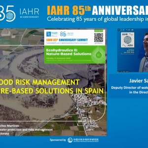 Javier Sánchez Martínez - Flood risks management and nature basin solutions in Spain