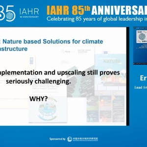 Erik van Eekelen - Building with Nature: learnings on enablers for creating, implementing and upscaling Nature-based Solutions