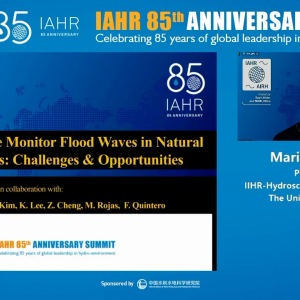 Marian Muste - How do we monitor flood waves in natural streams: Challenges and Opportunities