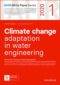 IAHR White Paper: Climate change adaptation in water engineering