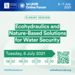 Ecohydraulics and Nature-Based Solutions for Water Security