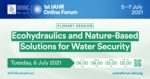 Ecohydraulics and Nature-Based Solutions for Water Security