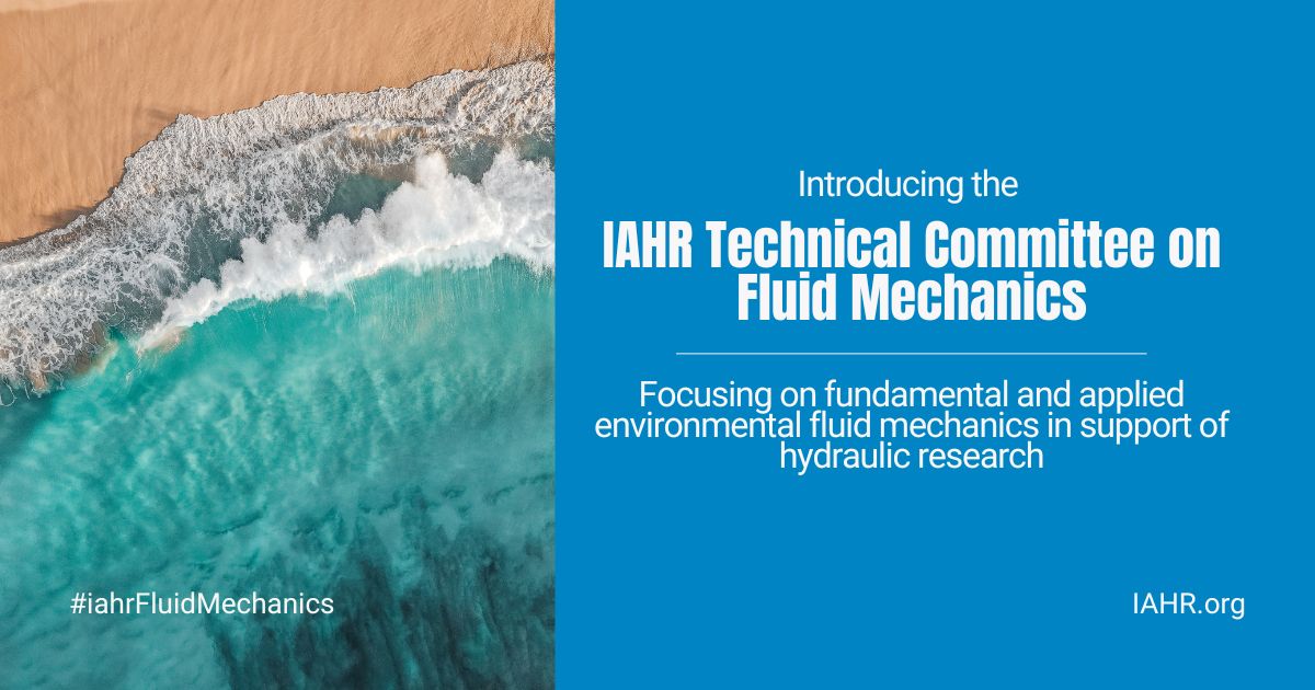 IAHR Technical Committee on Fluid Mechanics