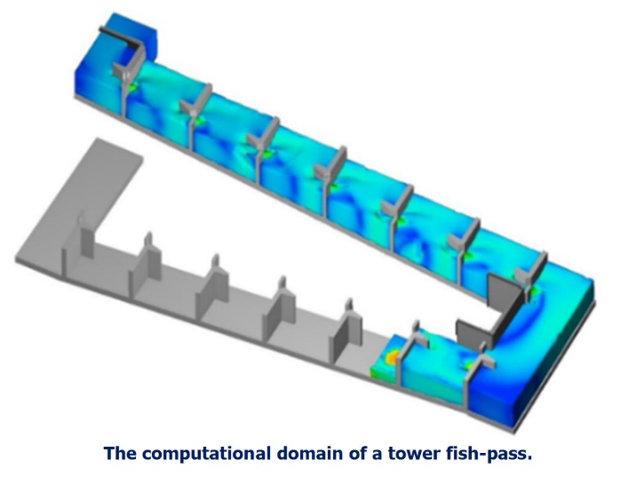 The computational domain of a tower fish-pass