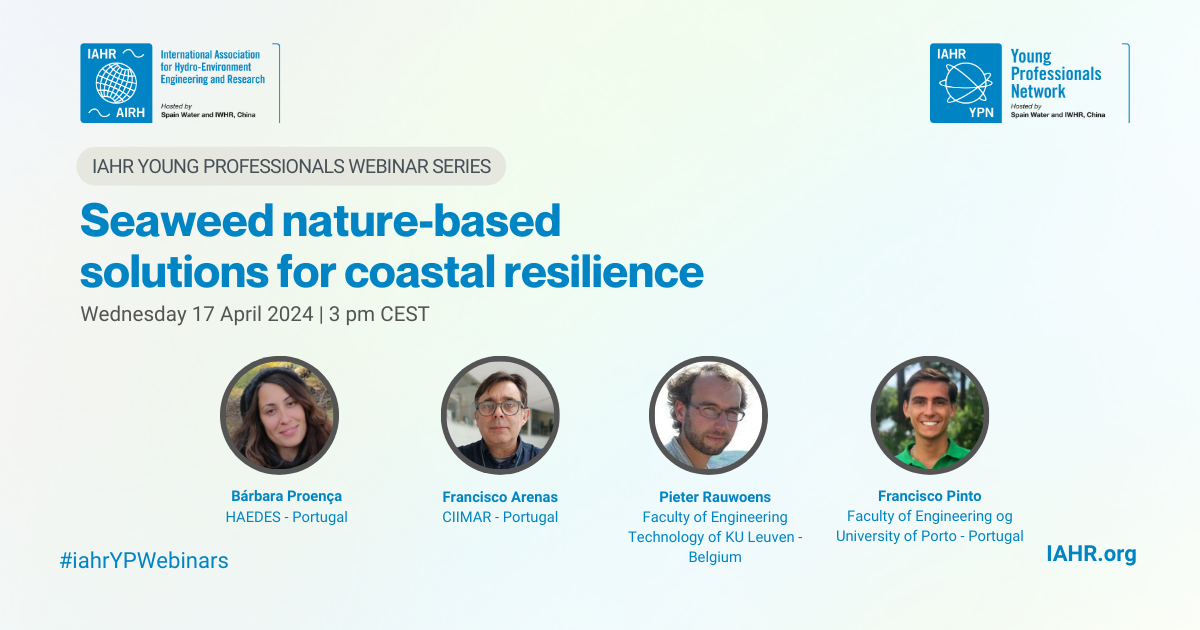 Seaweed nature-based solutions for coastal resilience