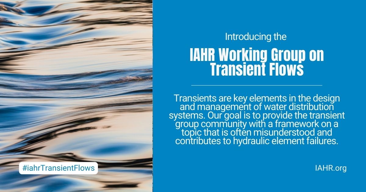 IAHR Working Group on Transient Flows