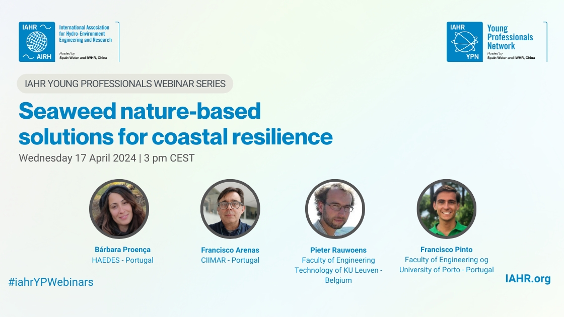 Seaweed nature-based solutions for coastal resilience 169.jpg
