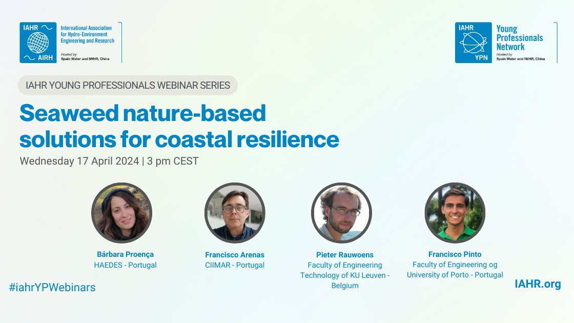 Seaweed nature-based solutions for coastal resilience.jpg