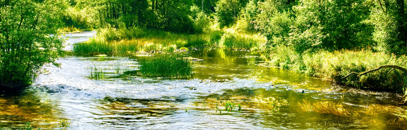ingemar-johnsson-QJiPLE3vJbY-unsplash.jpg