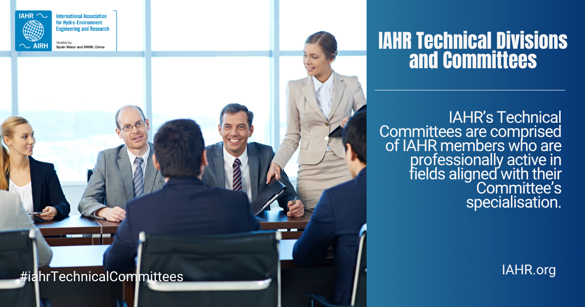 1763474087977100.png IAHR Technical Divisions and Committees.png