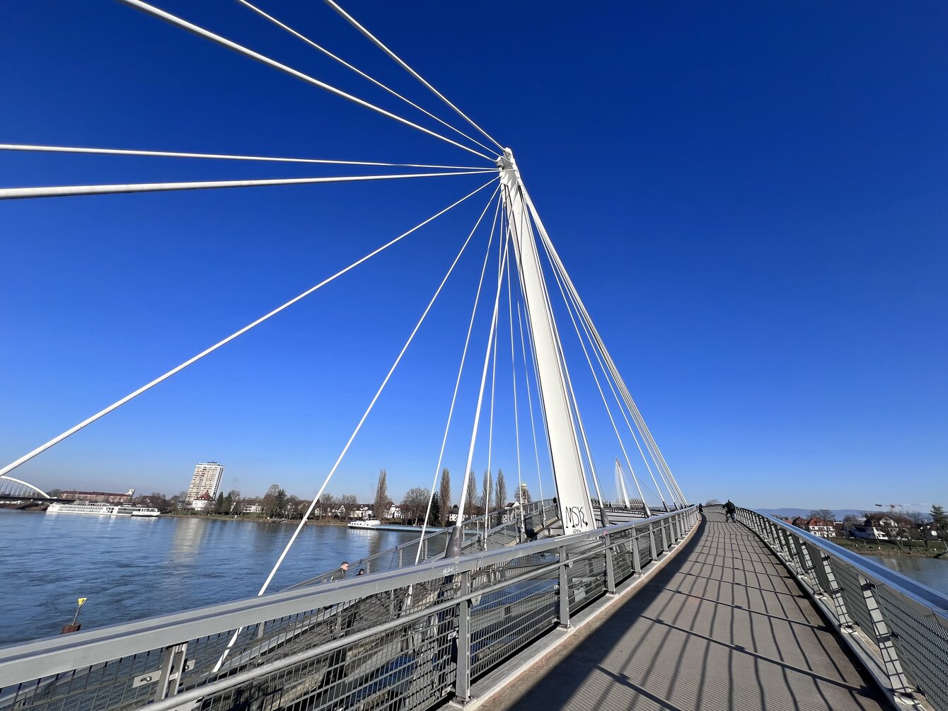 Master's programme in CWS