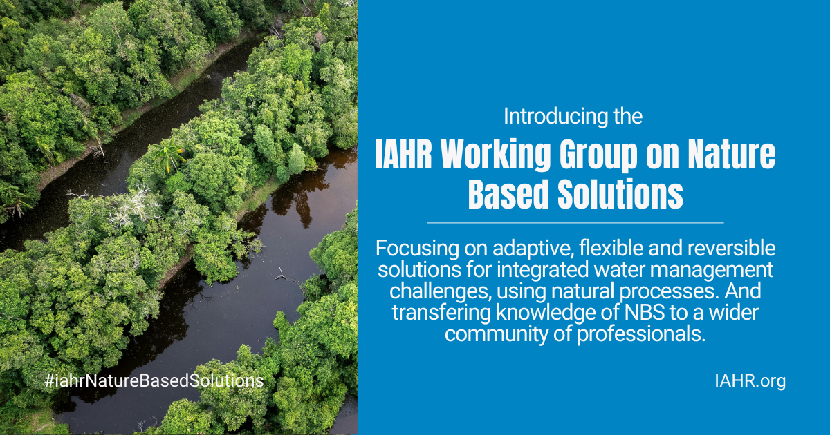 Copia de IAHR Technical Committee on Fluid Mechanics.png