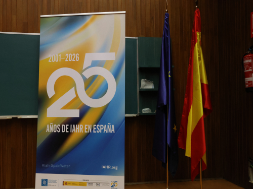 25th Anniversary poster.png