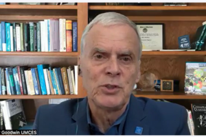 Prof. Peter Goodwin Intervention during the Policy Brief Launch Session